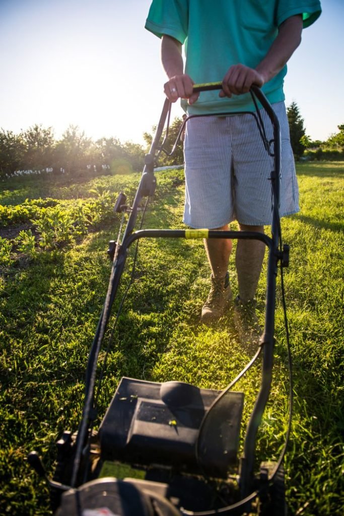 Man mowing lawn with push mower on a sunny day, vibrant green grass.